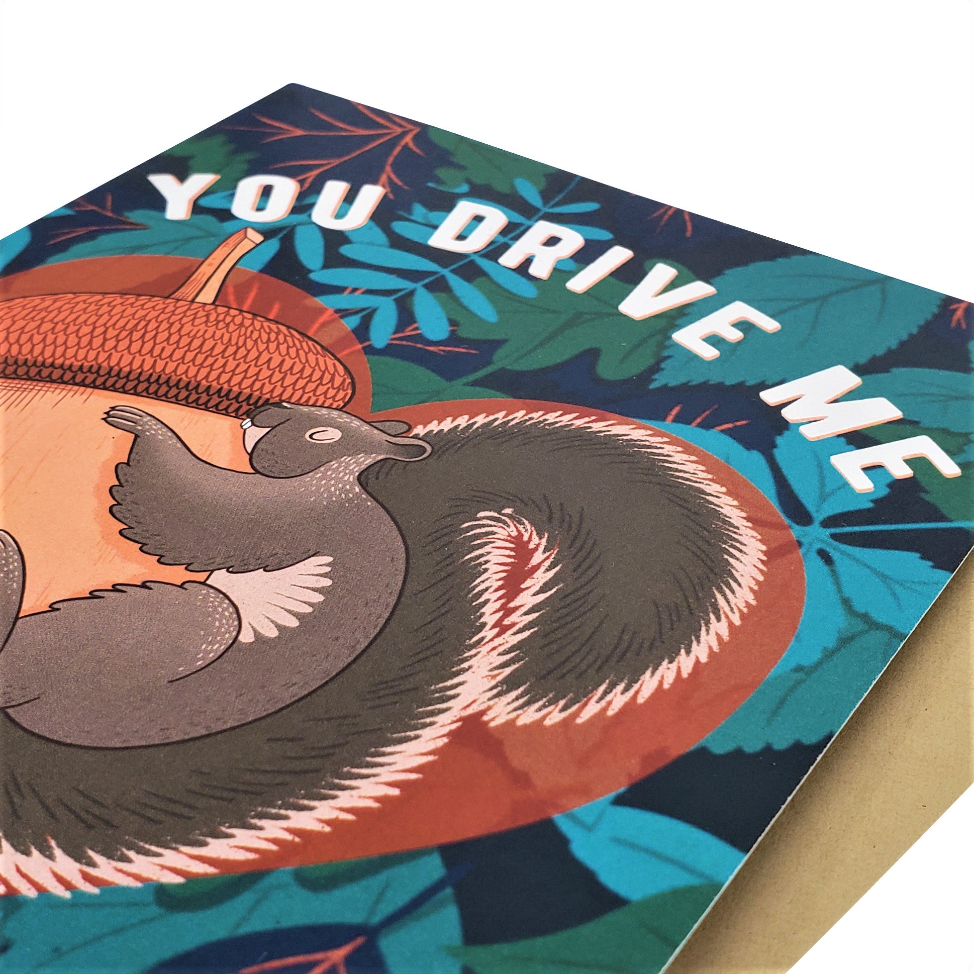 You Drive Me Fucking Nuts - Dirty Card - Naughty Adult Greeting Card - Sleazy Greetings