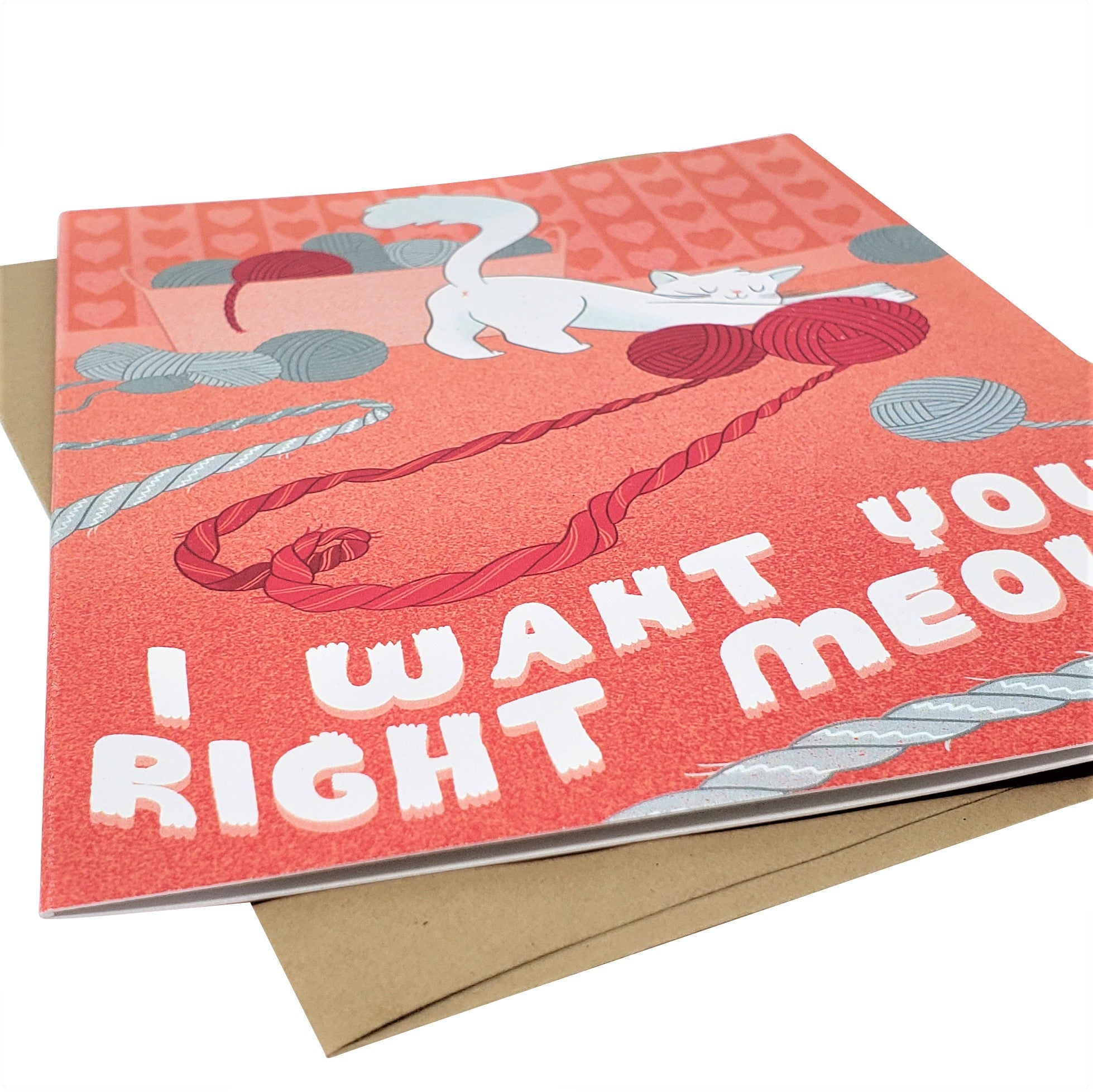 I Want You Right Meow - Dirty Card - Naughty Adult Greeting Card - Sleazy Greetings