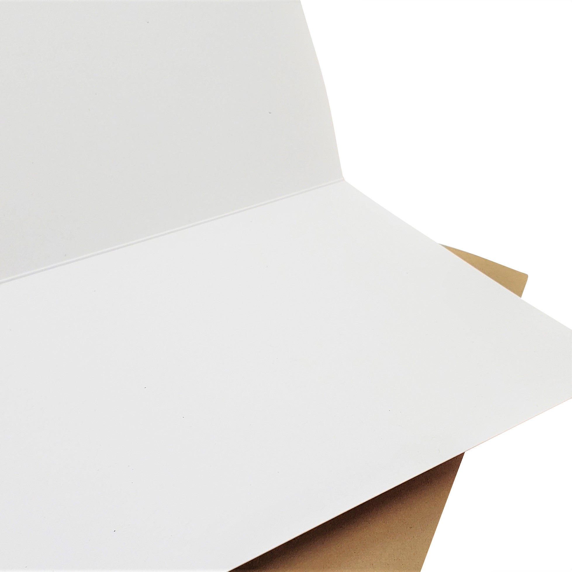 Slide Right Into Me - Dirty Card - Naughty Adult Greeting Card - Sleazy Greetings