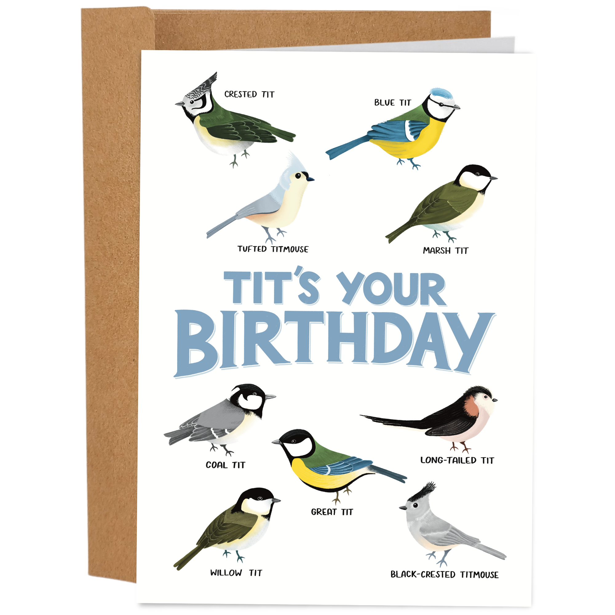 Funny Birthday Card / Tit's Your Birthday Sleazy Greetings