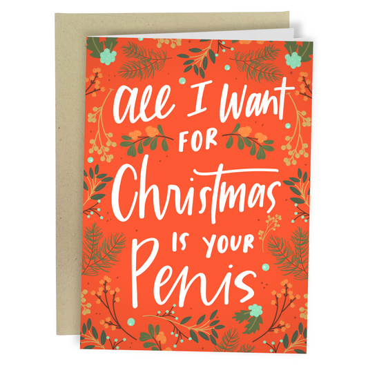 All I Want For Christmas | Funny Christmas Card